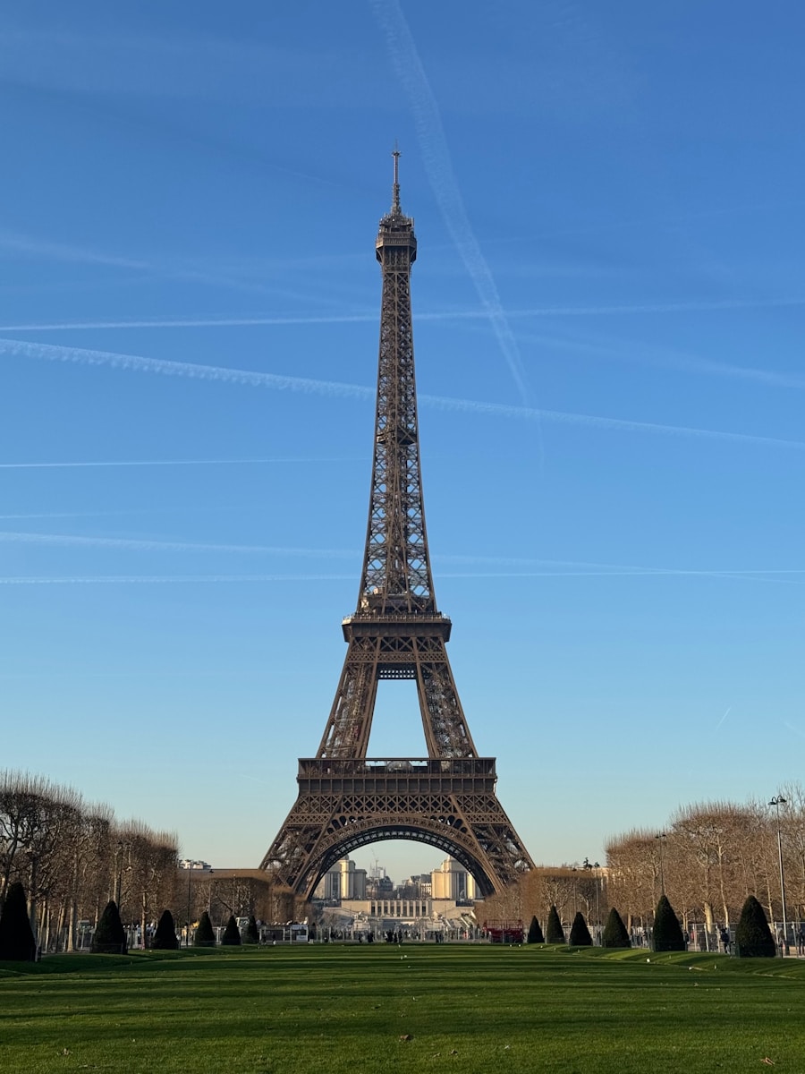 The eiffel tower towering over the city of paris
